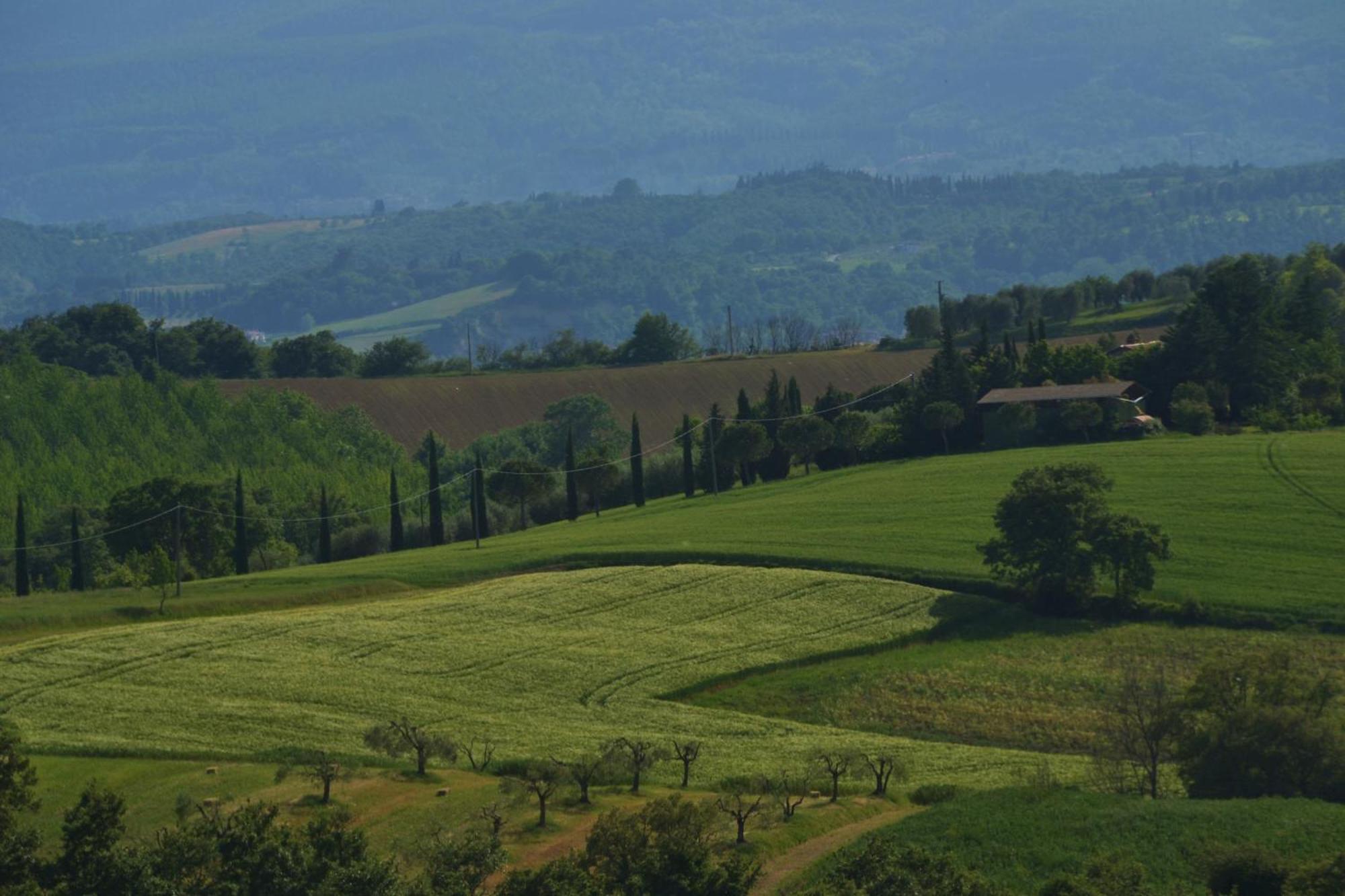 Agriturismo La Casetta Del Sole Villastrada  Luaran gambar