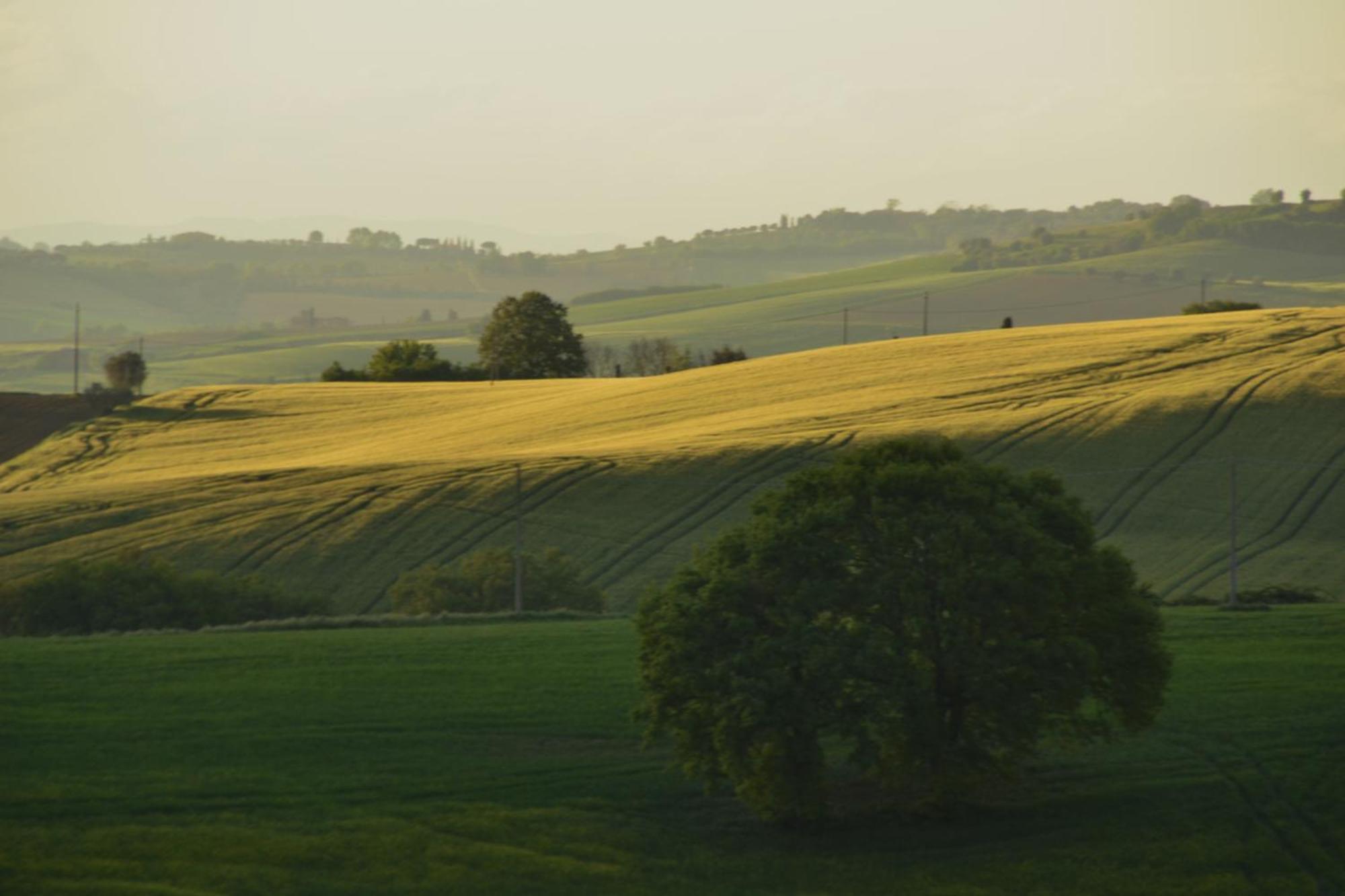 Agriturismo La Casetta Del Sole Villastrada  Luaran gambar